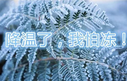 高寒地区桥面高聚物改性沥青施工技术