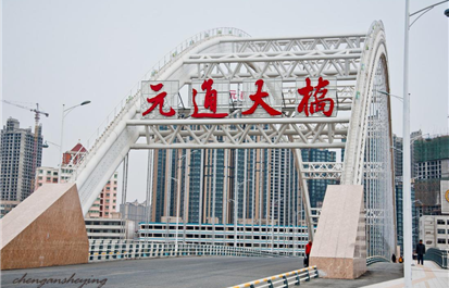 淞源案例|兰州市元通大桥