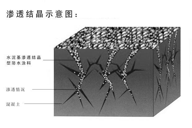 水泥基渗透结晶防水涂料渗透结晶原理图